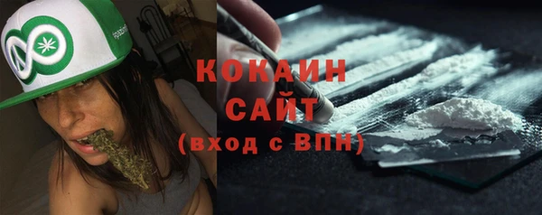 мдпв Ладушкин