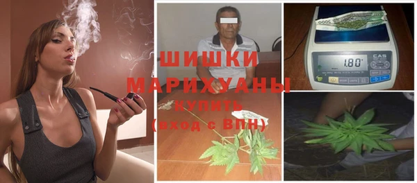 мдпв Ладушкин