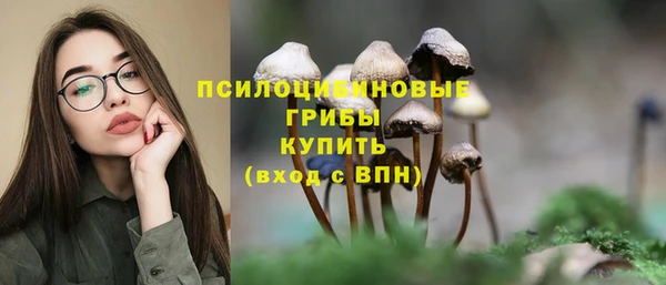 метадон Липки