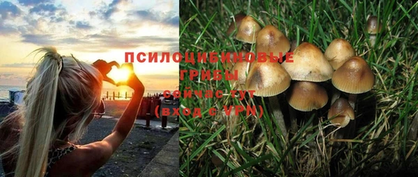 спиды Лагань