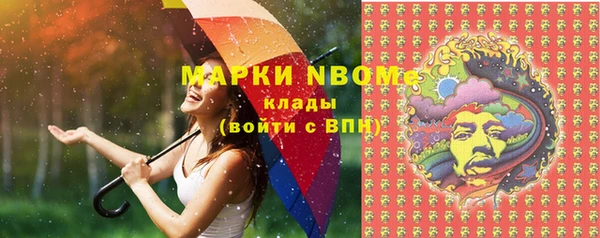 мдпв Ладушкин
